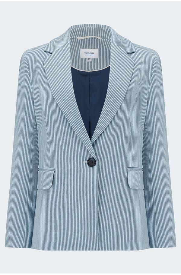 stripe blazer in chambray